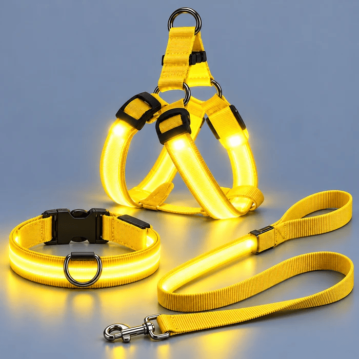 🐕 3-Piece Rechargeable LED Dog Walking Kit ✨ Light-Up Harness, Collar & Leash for Safer Night Walks