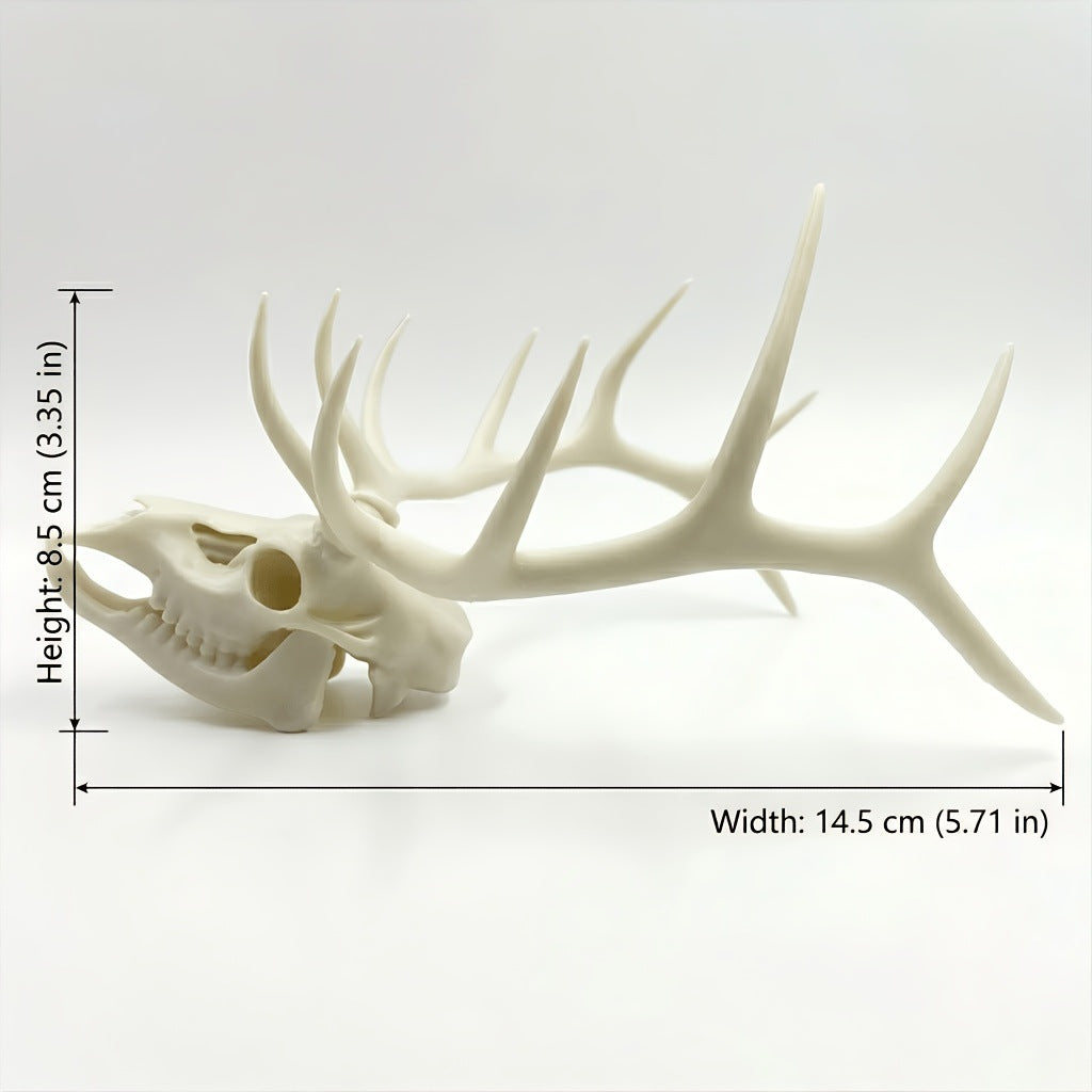 🫎Handcrafted Double Deer Skull Specimen Set - Gothic Wendigo & Elk Desktop Sculpture
