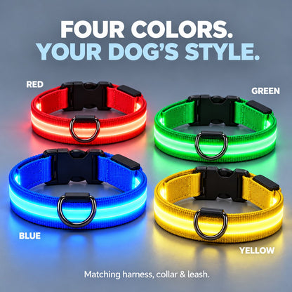 🐕 3-Piece Rechargeable LED Dog Walking Kit ✨ Light-Up Harness, Collar & Leash for Safer Night Walks