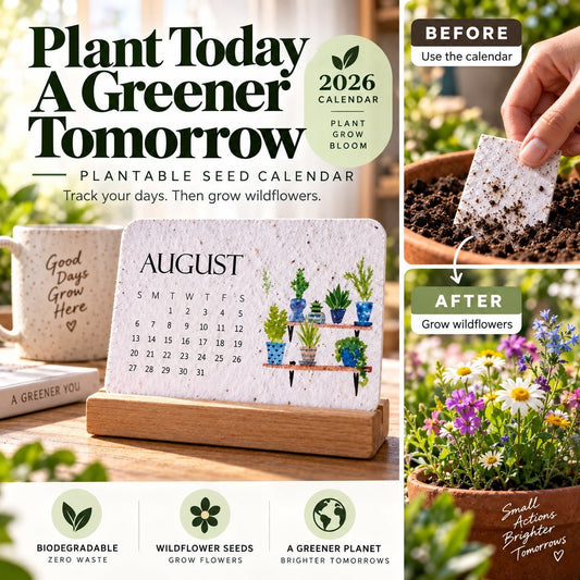✨🏆Early Holiday Sale 49% OFF🌱Eco-Friendly Plantable “Timeless” Seed Calendar 2027