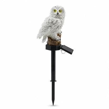 🦉Brighten your garden path today Solar Owl Pathway Light