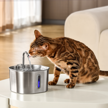 2.2L Fountain Health and Happiness Kit