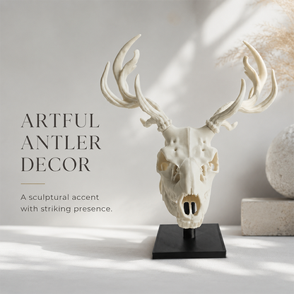 🫎Handcrafted Double Deer Skull Specimen Set - Gothic Wendigo & Elk Desktop Sculpture