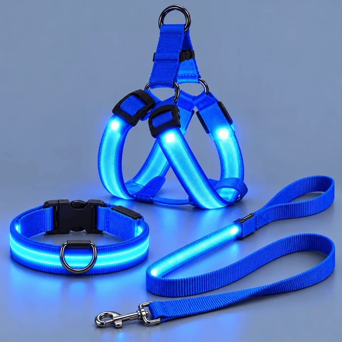 🐕 3-Piece Rechargeable LED Dog Walking Kit ✨ Light-Up Harness, Collar & Leash for Safer Night Walks
