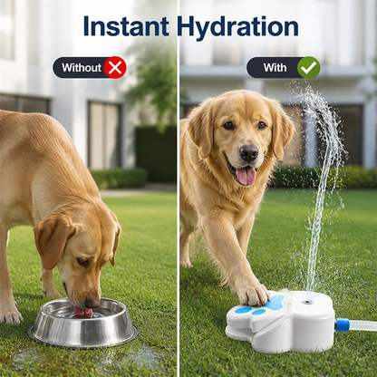 AquaPaw™ — Let Your Dog Quench Their Thirst Anytime, All on Their Own