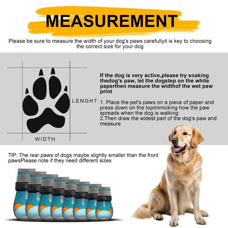 LED Light-Up Dog Boots