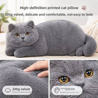 Realistic British Shorthair Cat Plush Throw Pillow