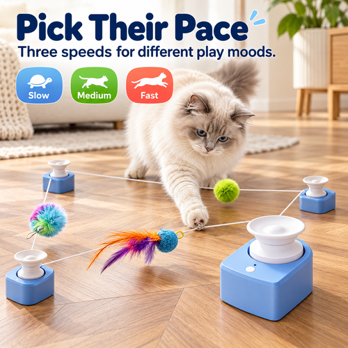 Motorized Cat Toy - USB Rechargeable 3 Speeds Automatic Low Noise,