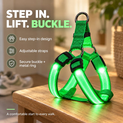 🐕 3-Piece Rechargeable LED Dog Walking Kit ✨ Light-Up Harness, Collar & Leash for Safer Night Walks