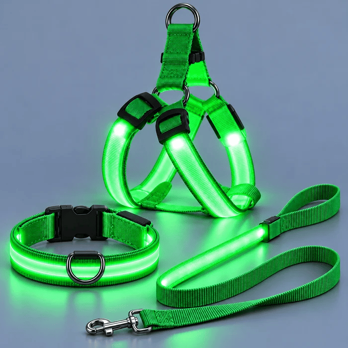 🐕 3-Piece Rechargeable LED Dog Walking Kit ✨ Light-Up Harness, Collar & Leash for Safer Night Walks