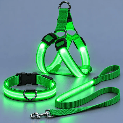 🐕 3-Piece Rechargeable LED Dog Walking Kit ✨ Light-Up Harness, Collar & Leash for Safer Night Walks