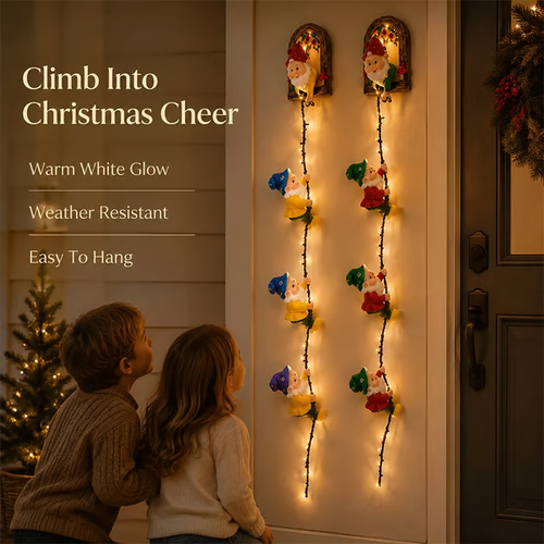 💥 LAST DAY 49% OFF - 🎄 Christmas Gnome String Lights (📦Buy 2 Free Shipping)