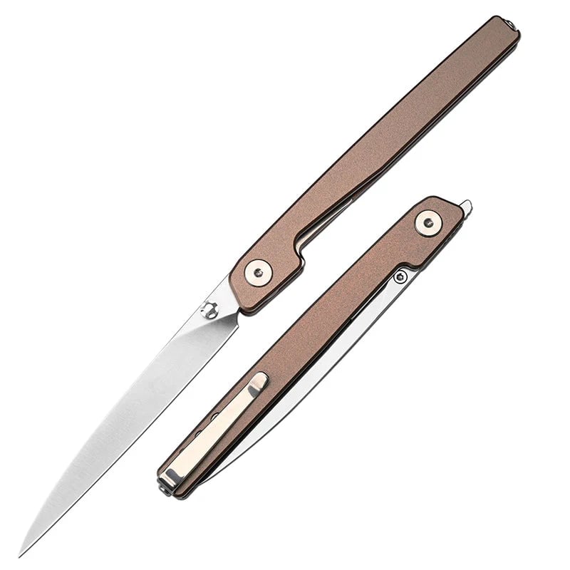 🔥Last Day Sale 49% OFF🎉Lanky Liner Lock Front Flipper Knife Black Aluminum Handle