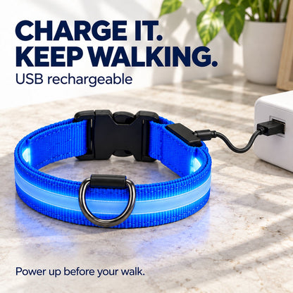 🐕 3-Piece Rechargeable LED Dog Walking Kit ✨ Light-Up Harness, Collar & Leash for Safer Night Walks