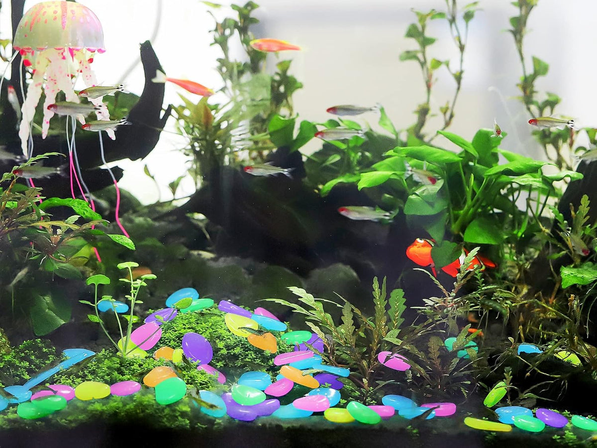Luminous Stones – Mixed Color Glow