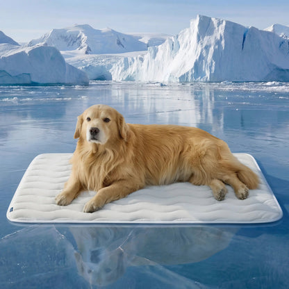🔥🐶Washable Cooling Dog Mat, ❄️Non-Slip Summer Crate Bed for Large Dogs, No Gel & No Electric