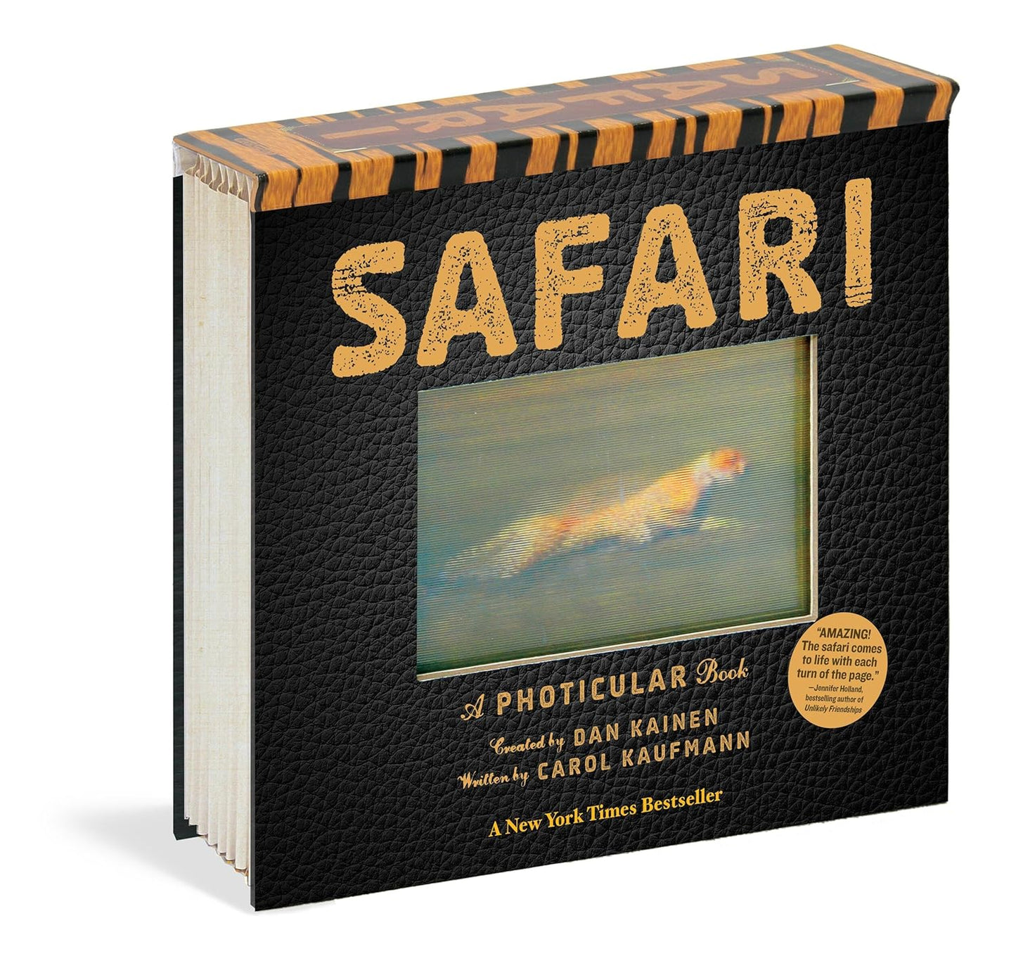 A Photicular 3D Motion Book | New York Times Bestseller Holiday Gift