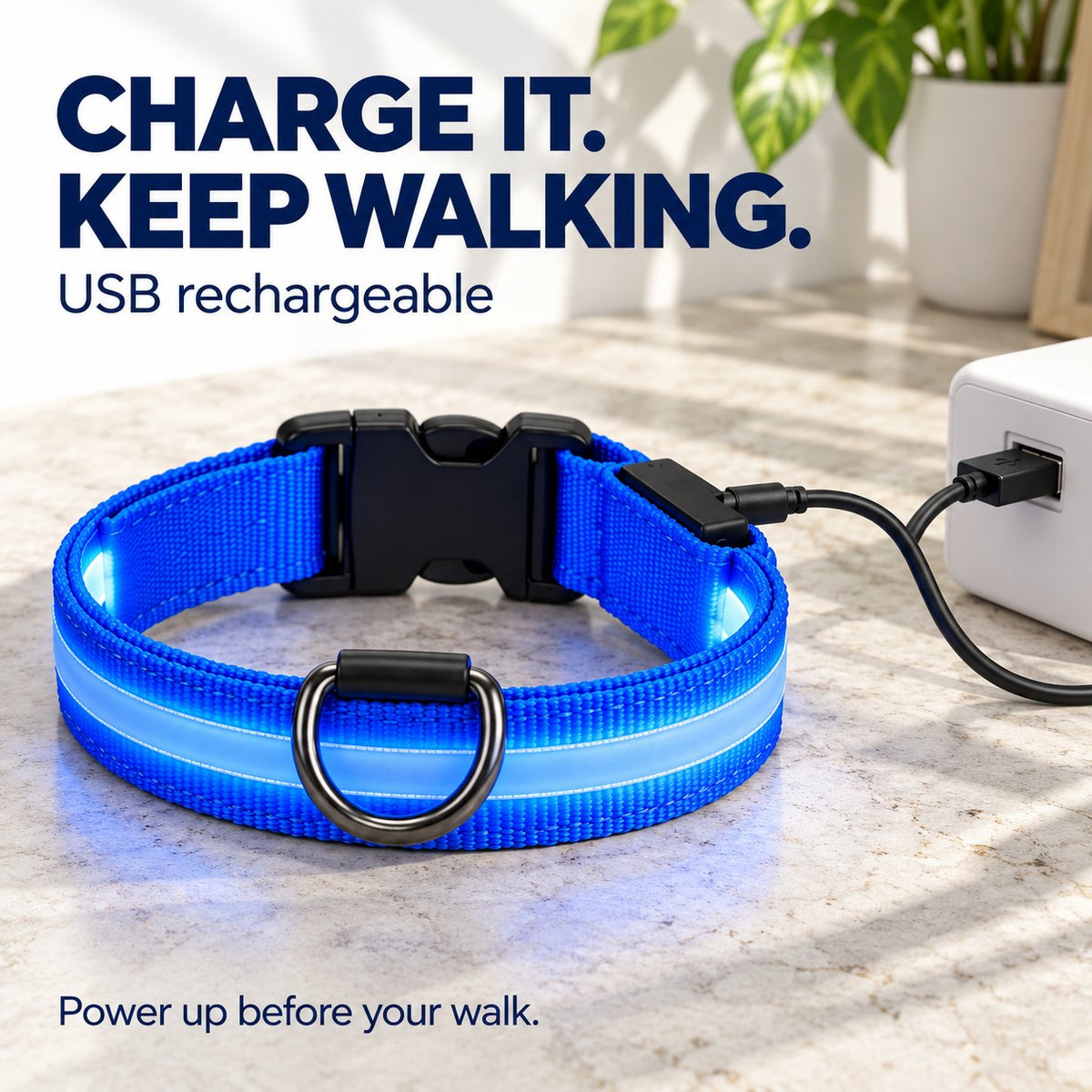 🐕 3-Piece Rechargeable LED Dog Walking Kit ✨ Light-Up Harness, Collar & Leash for Safer Night Walks
