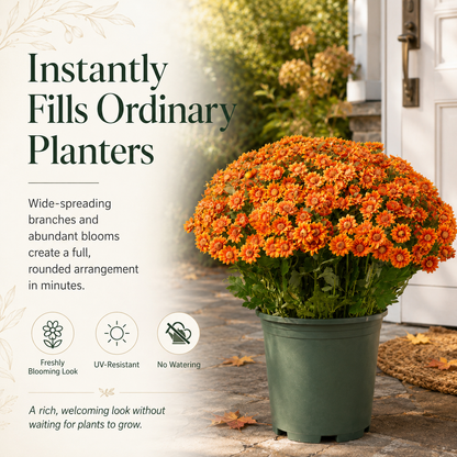 🌼🍂 Full-Bloom Artificial Mum Flower Bushes