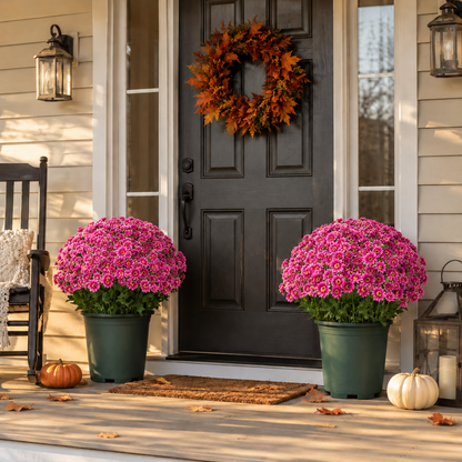 🌼🍂 Full-Bloom Artificial Mum Flower Bushes