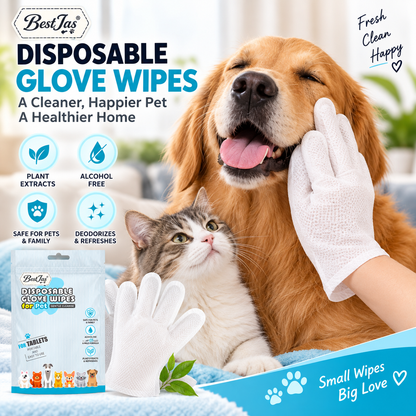 🐶 Wipe Away Pet Messes in Seconds! 🧤🛒