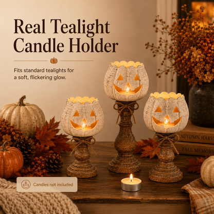 ✨Rustic White Pumpkin Tealight Candle Holder Set of 3