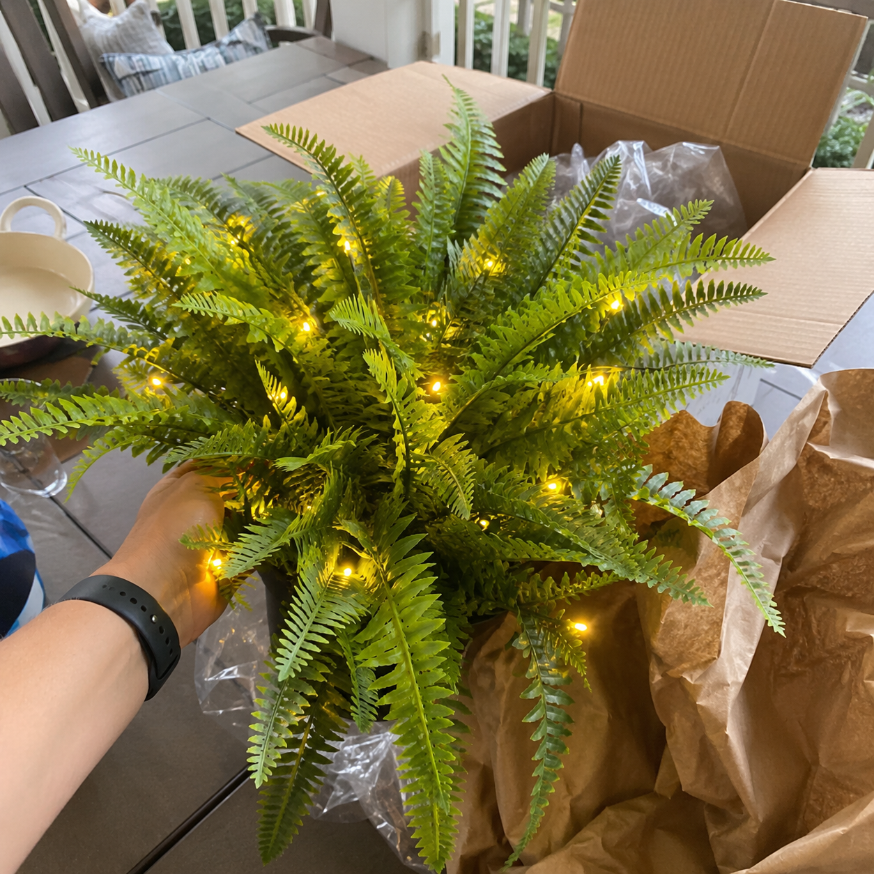 💛Glowing Boston Ferns with Lights – 🌿 Zero Watering, Zero Maintenance