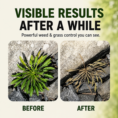 🌿🔥Fast-acting Natural Weed & Grass Killer Spray