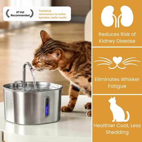 2.2L Fountain Health and Happiness Kit