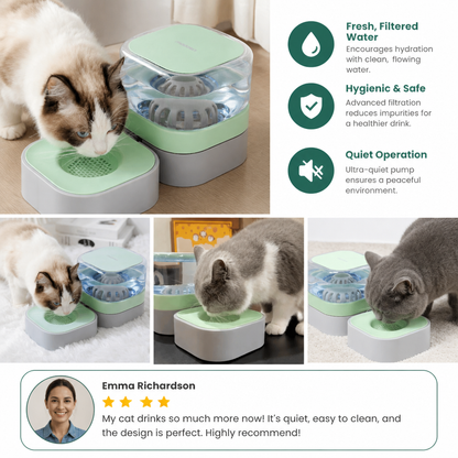 Automatic portable water dispenser for cats