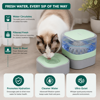 Automatic portable water dispenser for cats