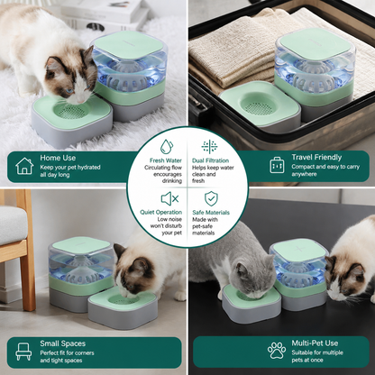 Automatic portable water dispenser for cats