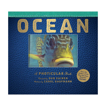 A Photicular 3D Motion Book | New York Times Bestseller Holiday Gift