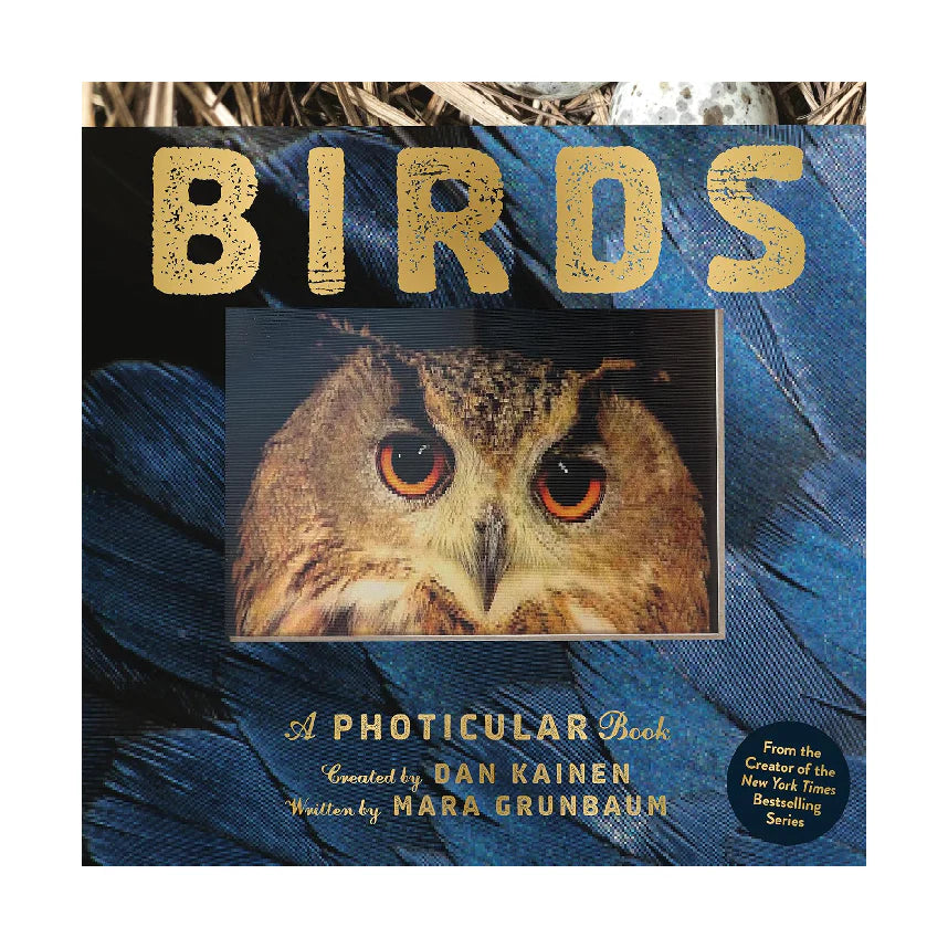 A Photicular 3D Motion Book | New York Times Bestseller Holiday Gift