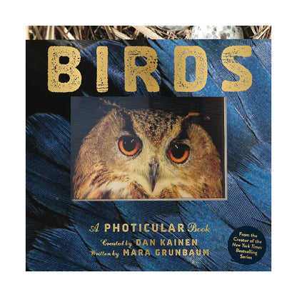 A Photicular 3D Motion Book | New York Times Bestseller Holiday Gift