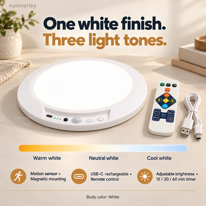 Rechargeable Motion Sensor Ceiling Lamp