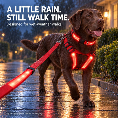 🐕 3-Piece Rechargeable LED Dog Walking Kit ✨ Light-Up Harness, Collar & Leash for Safer Night Walks