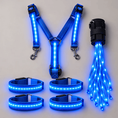 360° Illuminated Horse Harness & Glow Kit 🐎✨