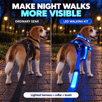🐕 3-Piece Rechargeable LED Dog Walking Kit ✨ Light-Up Harness, Collar & Leash for Safer Night Walks