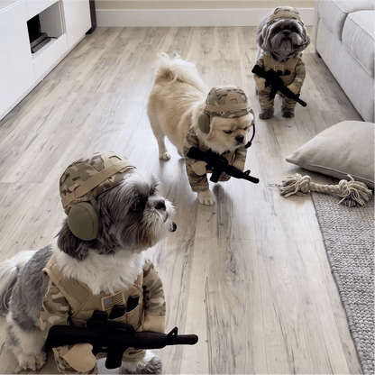 🔥Funny Tactical Soldier Pet Costume – Front-Facing Military Uniform for Dogs & Cats