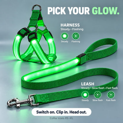🐕 3-Piece Rechargeable LED Dog Walking Kit ✨ Light-Up Harness, Collar & Leash for Safer Night Walks