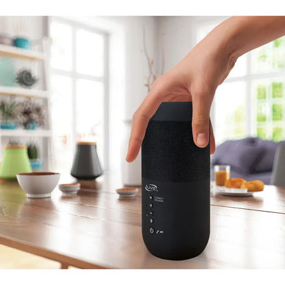 iLive S/2 Indoor Outdoor Bluetooth Speakers & Ground Stakes