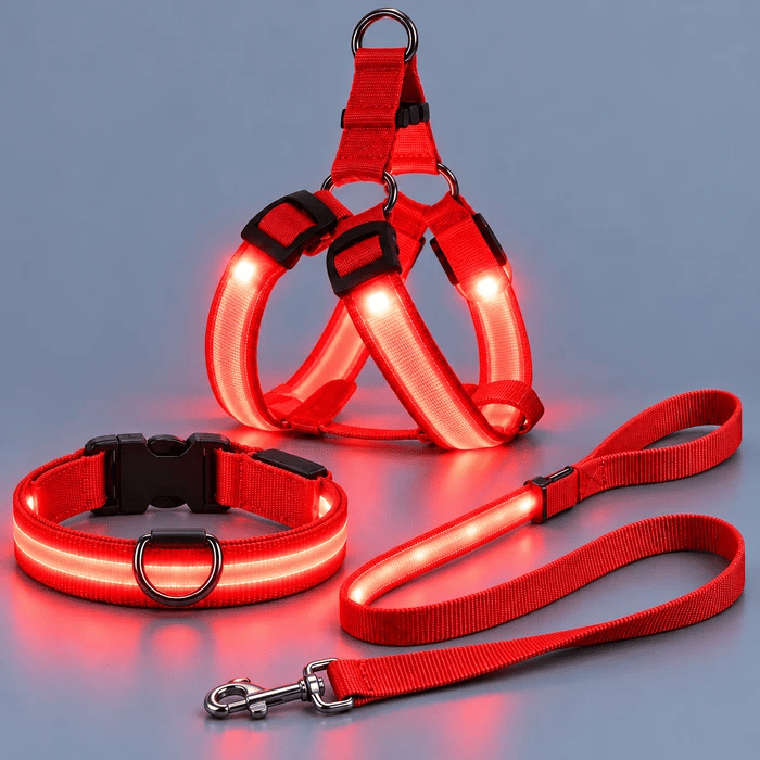 🐕 3-Piece Rechargeable LED Dog Walking Kit ✨ Light-Up Harness, Collar & Leash for Safer Night Walks