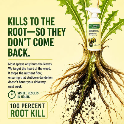 🌿🔥Fast-acting Natural Weed & Grass Killer Spray