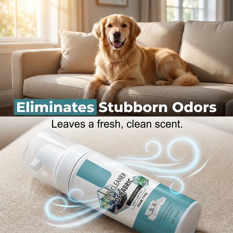 Fabric cleaner beside a sofa in a home with a dog